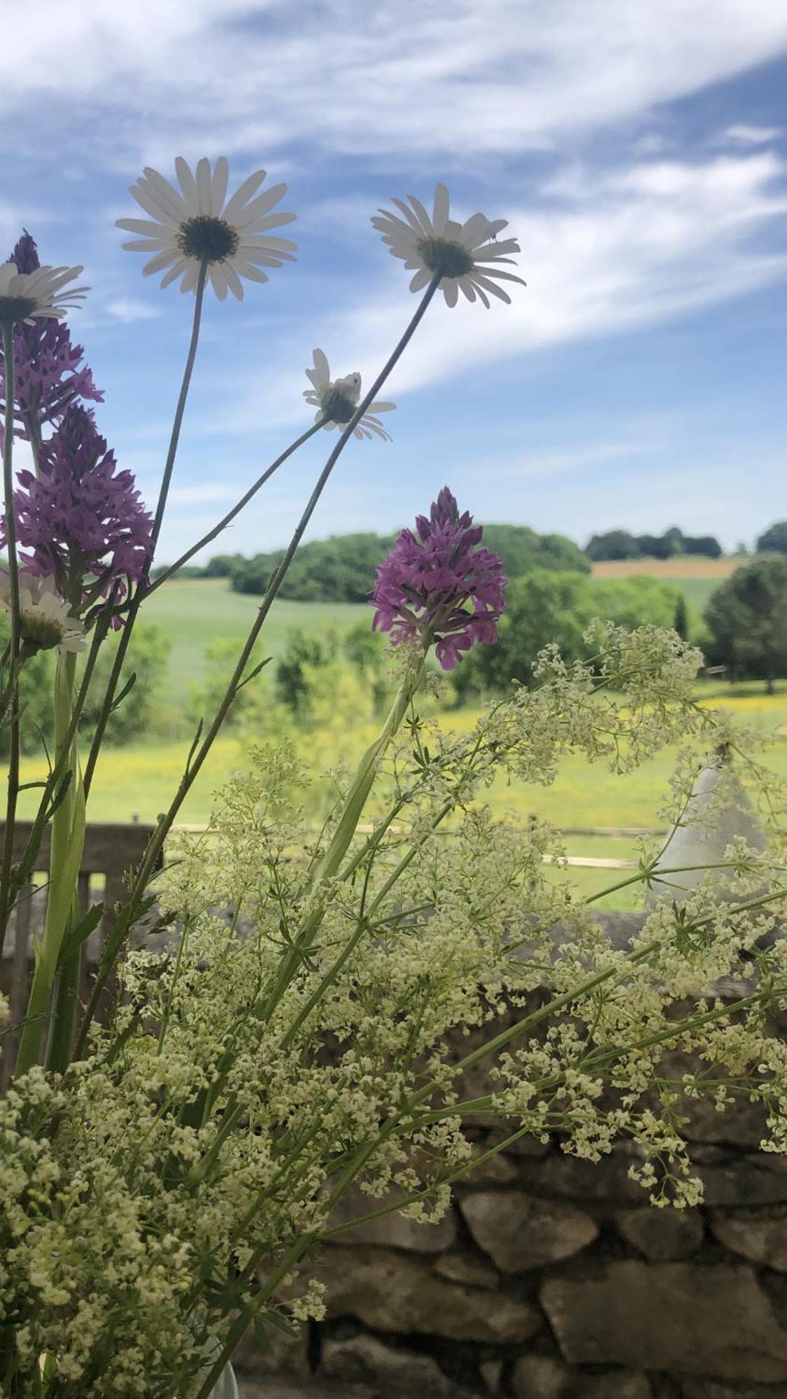 Le Buscagneau Villa Béraut Buitenkant foto