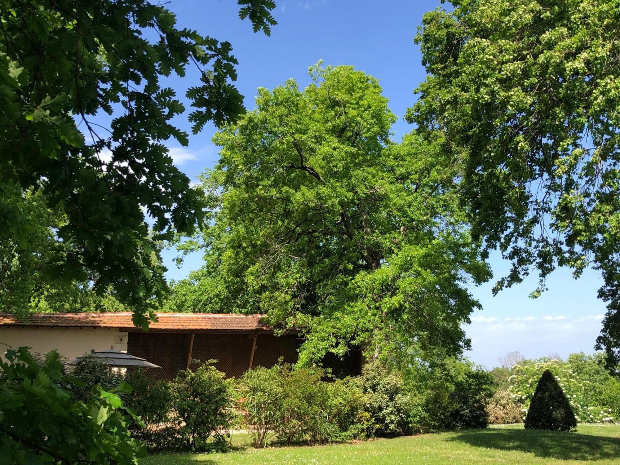Le Buscagneau Villa Béraut Buitenkant foto